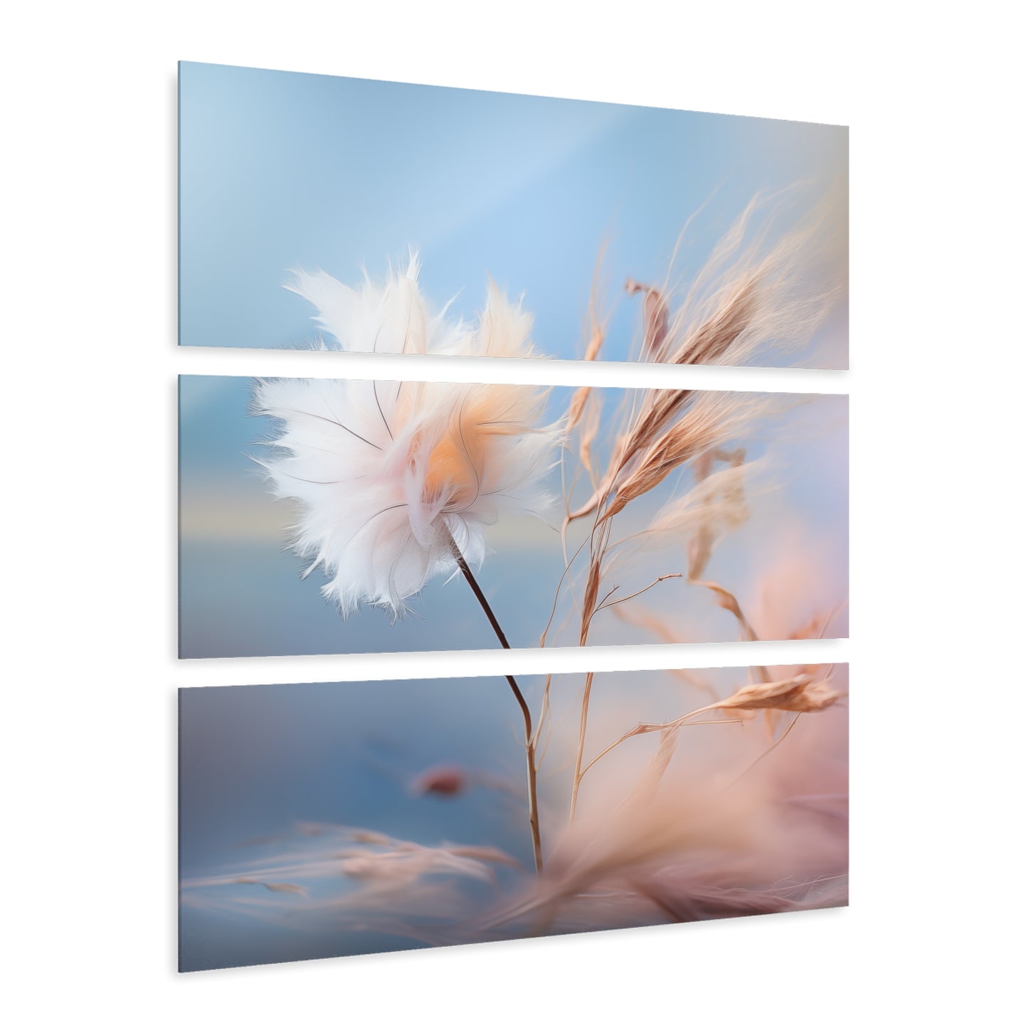 Cotton Dandelion Series 2 Acrylic Prints (Triptych)