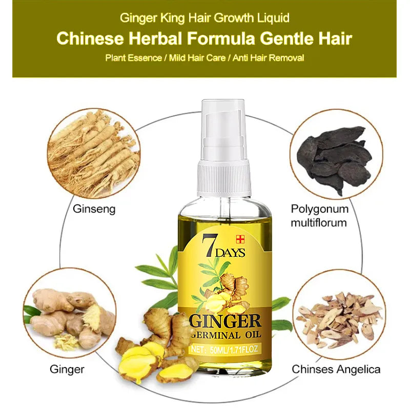 Fast Hair Growth Men Women Ginger Oil Treatment Anti Hair Loss Scalp Treatment