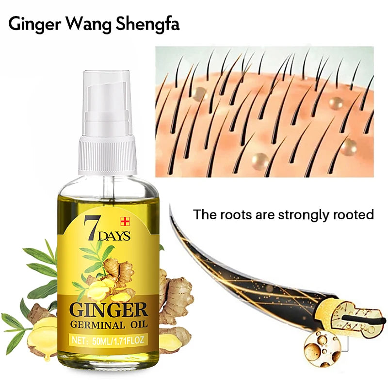 Fast Hair Growth Men Women Ginger Oil Treatment Anti Hair Loss Scalp Treatment